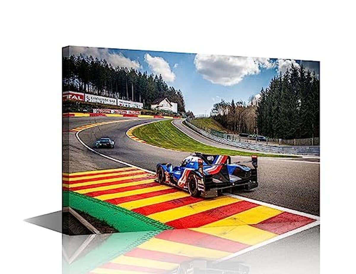 Avis sur la toile murale TUMOVO Formule 1